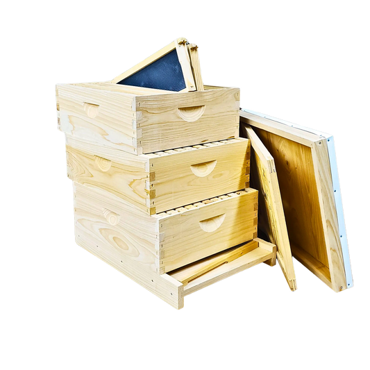10-Frame All-Medium Box Hive Kit, image 2 of 26