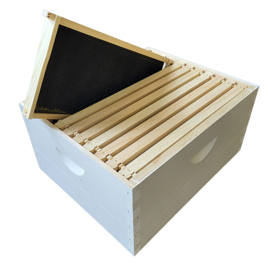 10-Frame Complete, Deep 9 5/8-inch Box with Frames and Foundation, image 2 of 17