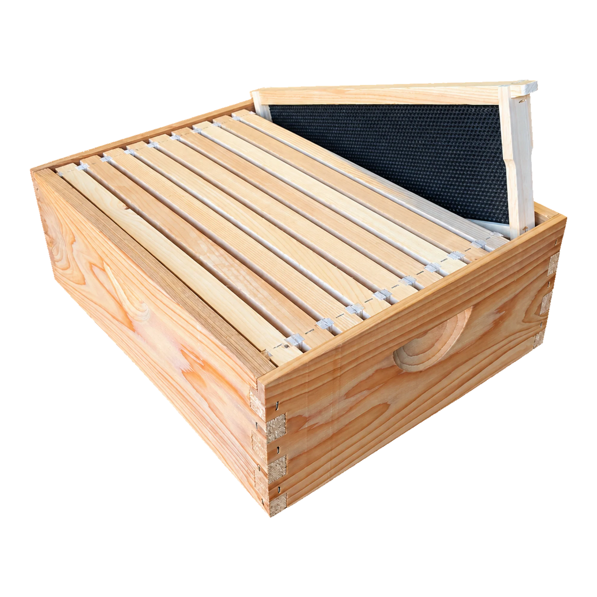 10-Frame Complete, Medium 6 5/8-inch Box with Frames and Foundation