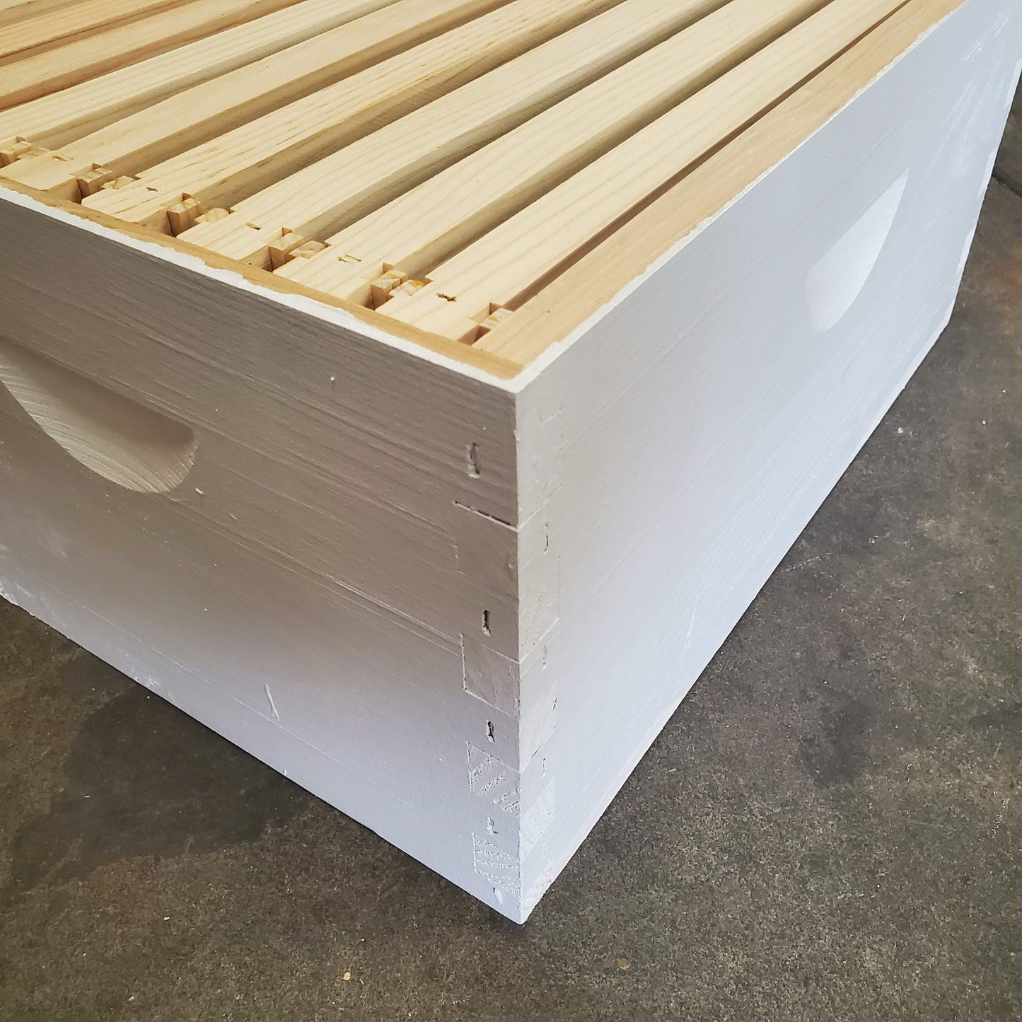 10-Frame Completed, Deep 9 5/8-inch Box with Frames and Foundation