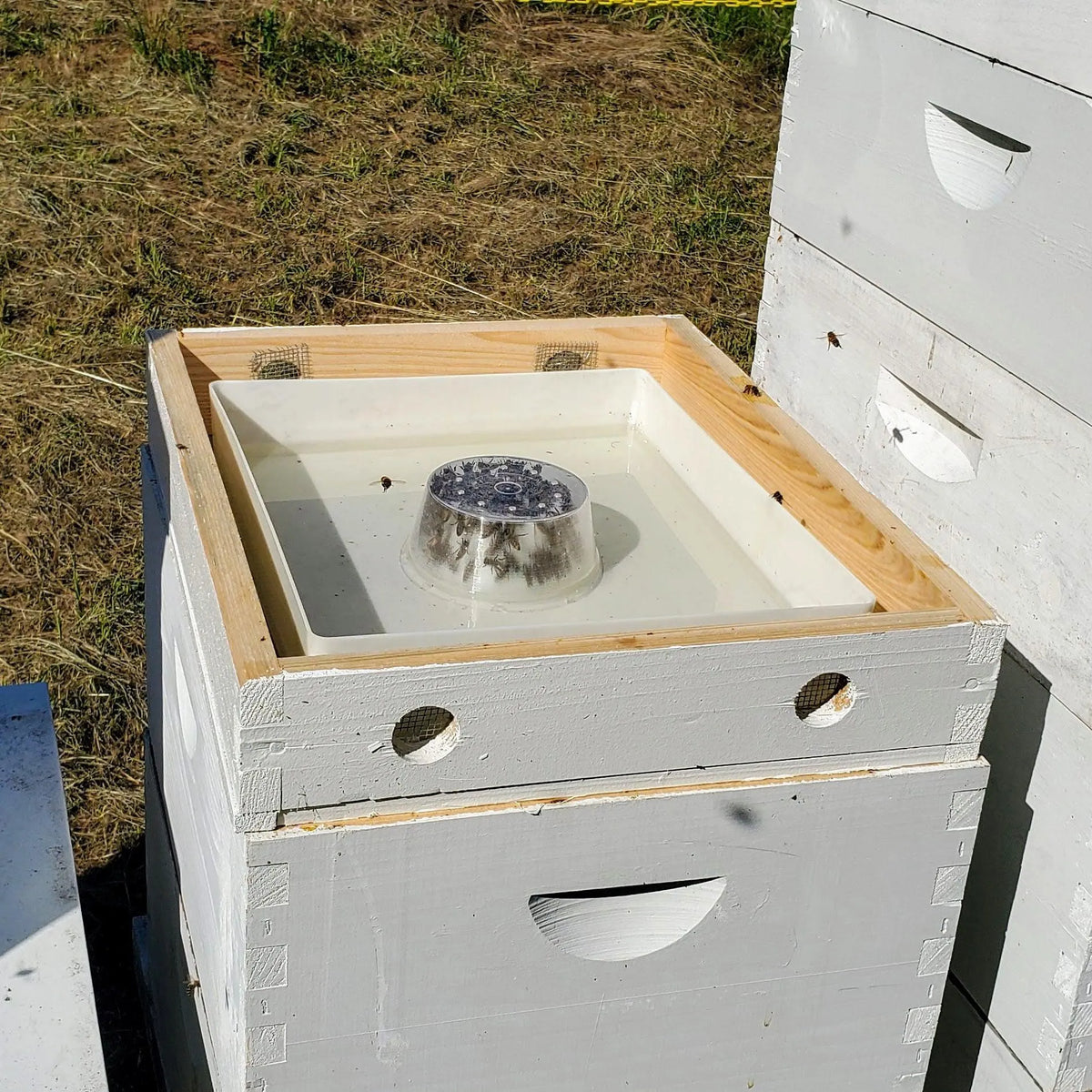 10 Frame Top Feeder, image 5 of 5