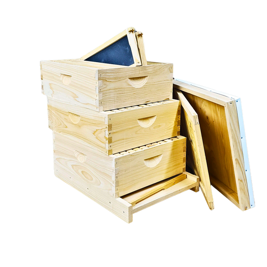 10-Frame All-Medium Box Hive Kit