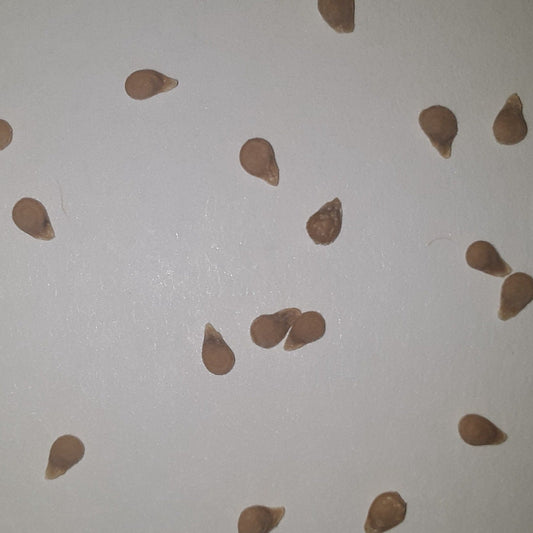 Sweet Hearts Hybrid Grape Tomato Seeds