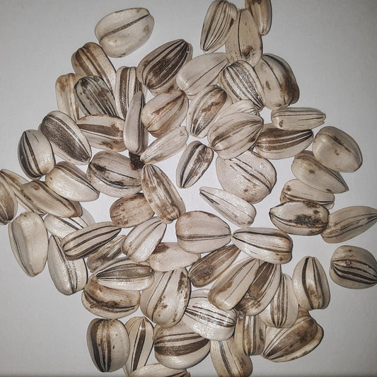 Mammoth Grey Striped Sunflower Seeds