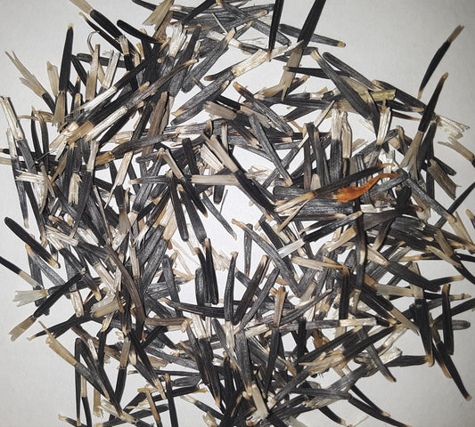 Cracker Jack Series Marigold Flower Seeds