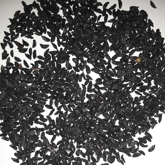 Herb, Chive Seeds