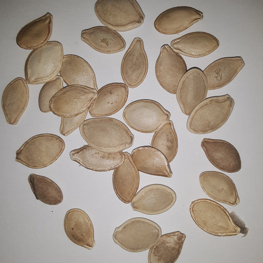 Summer Squash Variety Mix Seeds