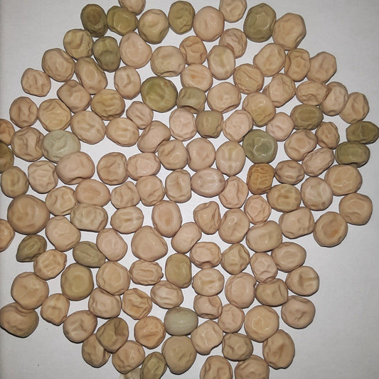 Wando Bush Pea Seeds