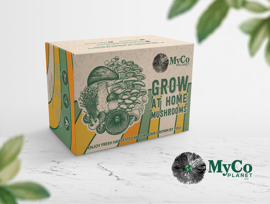 Organic Blue Oyster Grow Kit