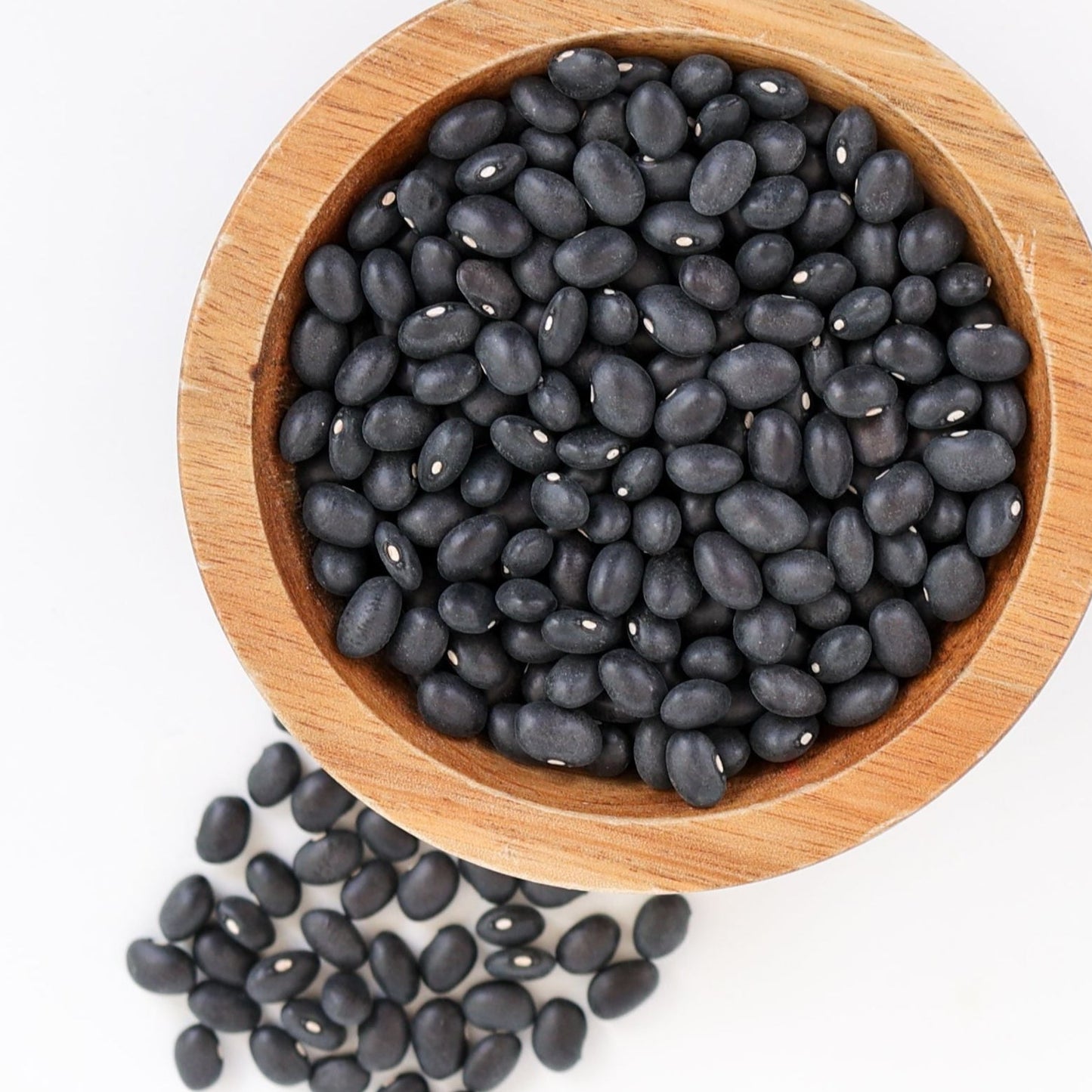 Midnight Black Turtle Bean (Bush)