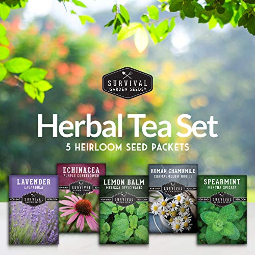 Herbal Tea Seed Collection - 5 Herbs to Grow for Herbal Tea