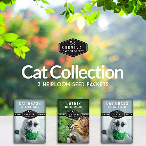 Cat Herb Seed Collection - Catnip & Cat Grass Seed Packets