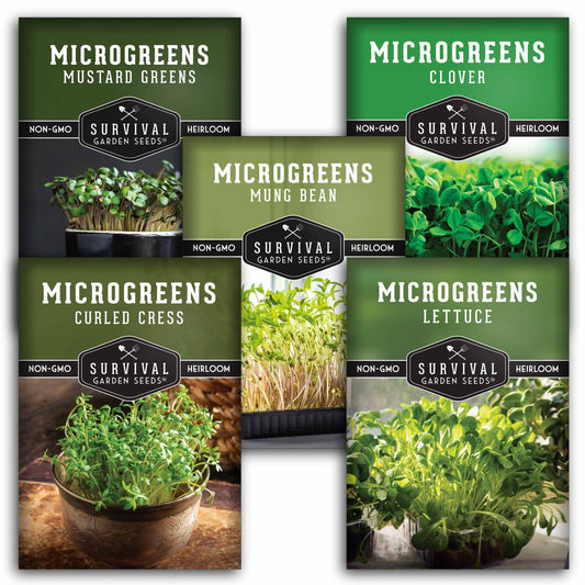Microgreens Seeds 5 Pack