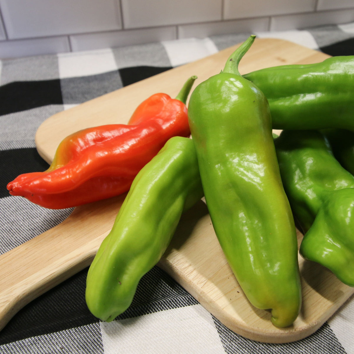 Cubanelle Pepper by MIgardener