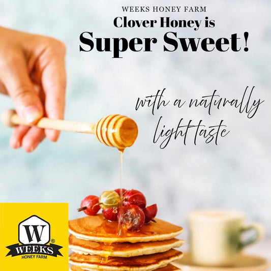 All-Natural Pure Raw Clover Honey - Sweet, Light, & Nutrient-Rich, No Additives, Sourced from American West Clover Fields