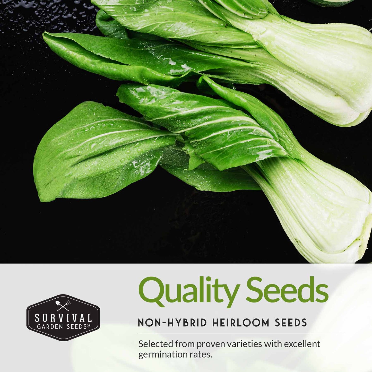 Asian Vegetable Seed Collection - 6 Vegetables for Asian Cuisine