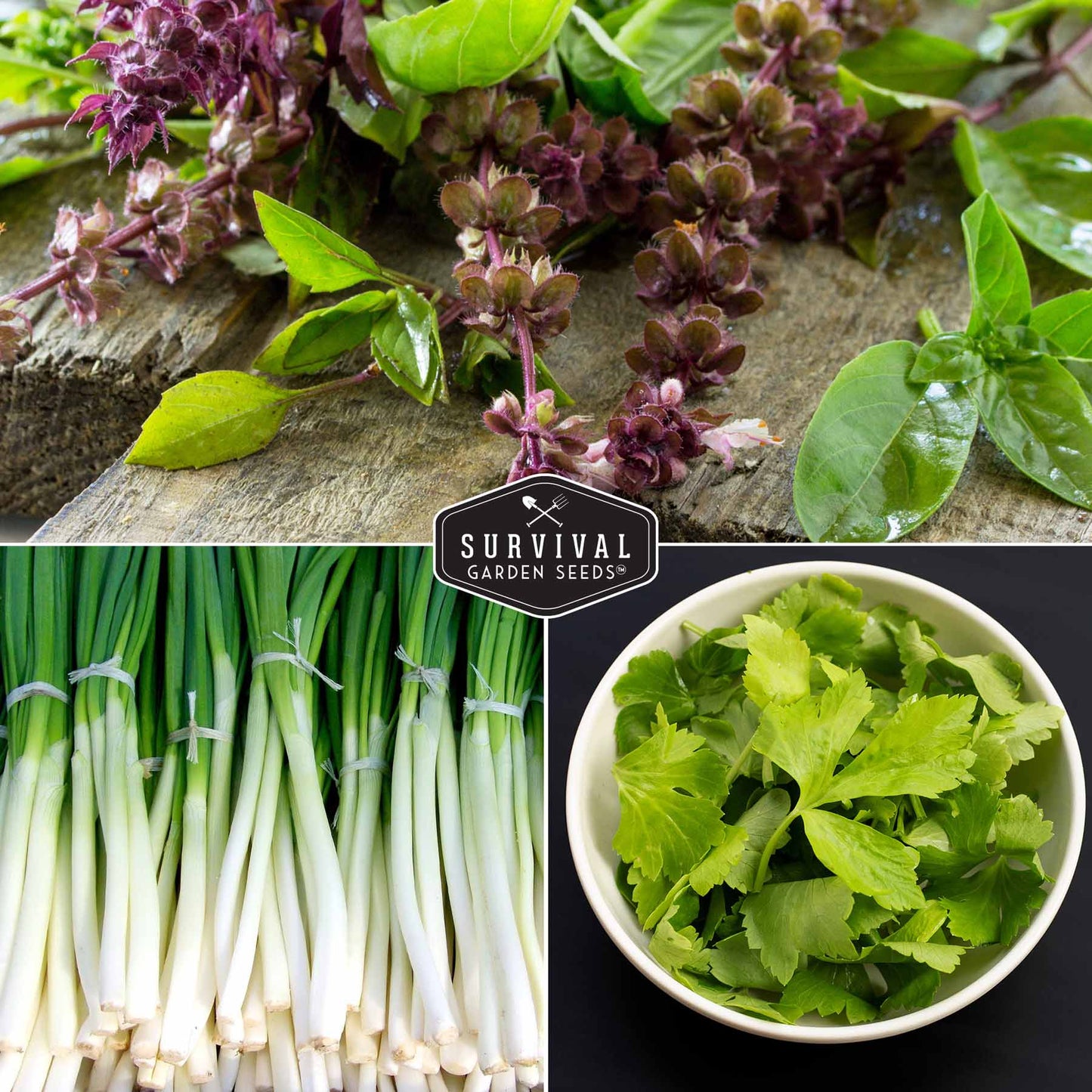 Asian Vegetable Seed Collection - 6 Vegetables for Asian Cuisine
