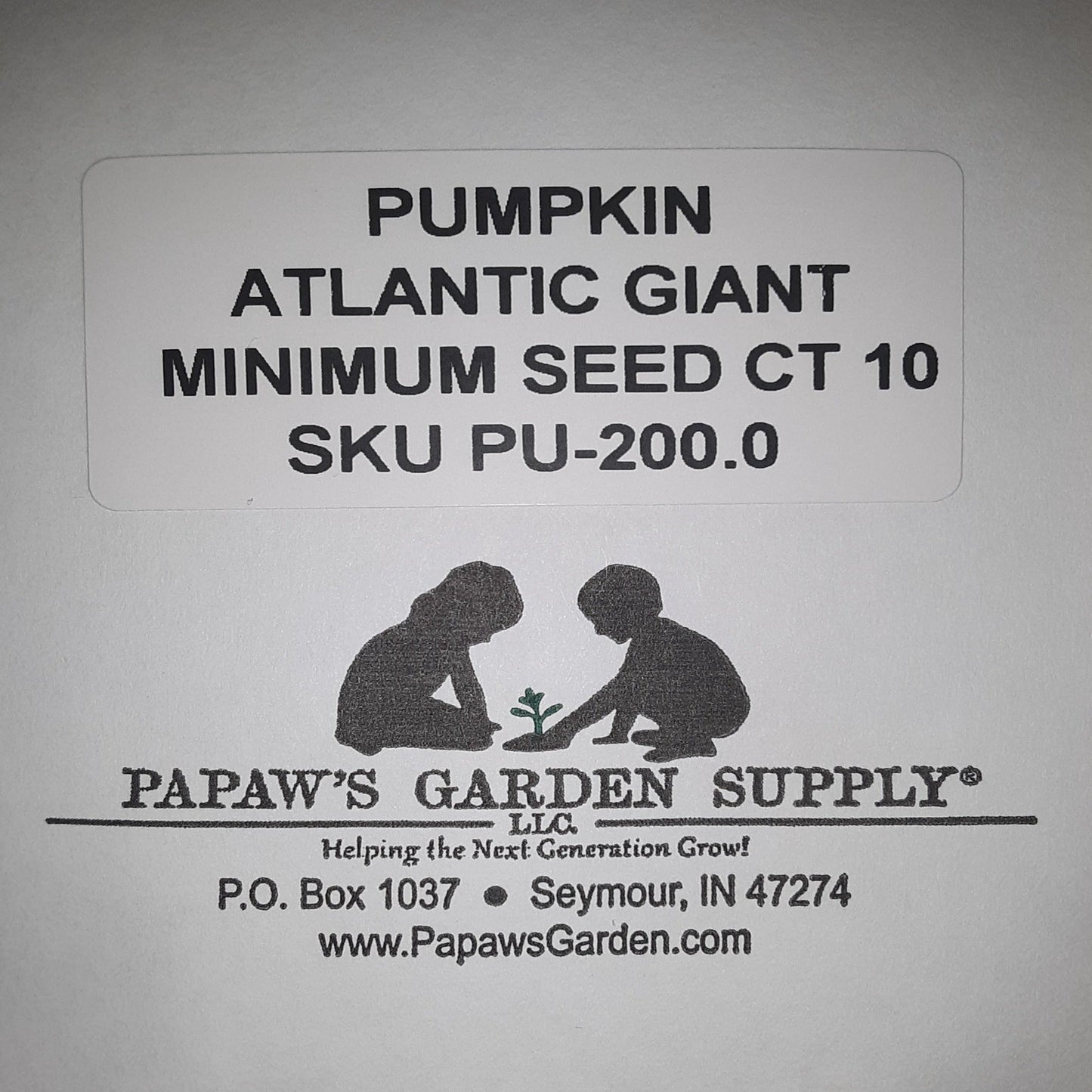 Atlantic Giant Pumpkin Seeds