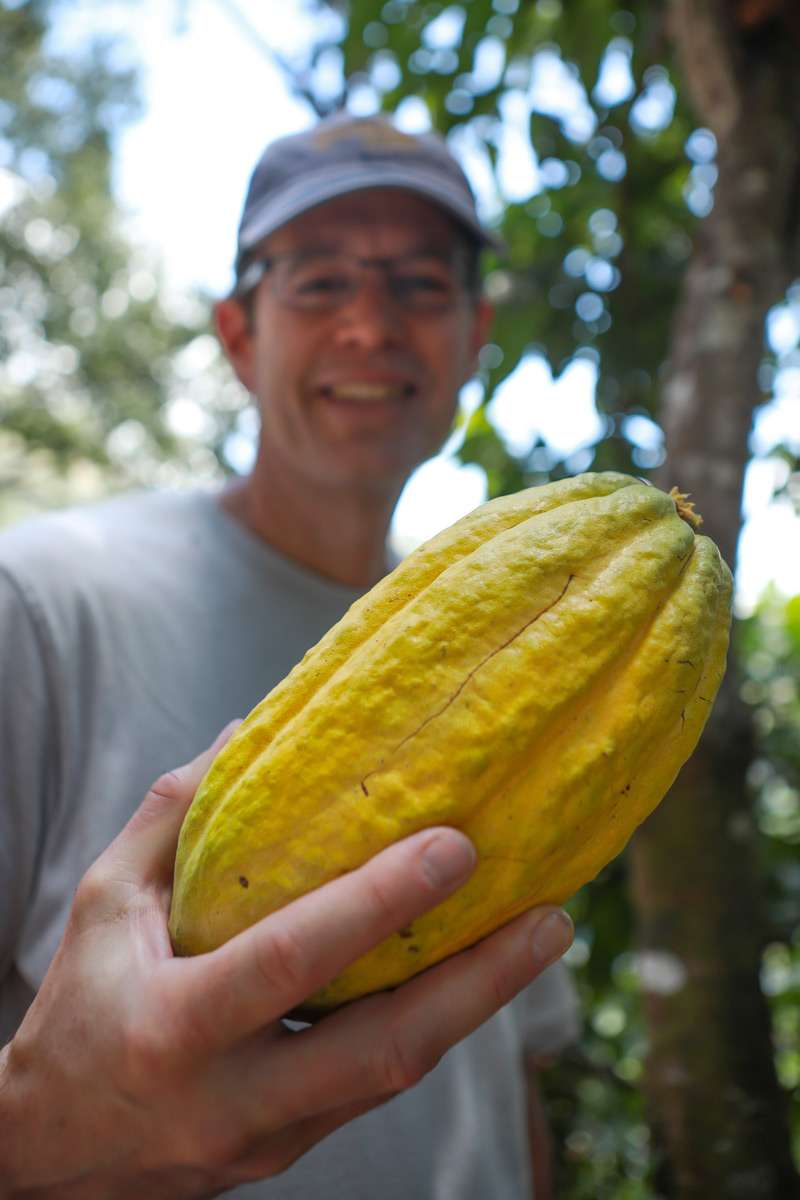 Limited Release, Zanzibar Pepper
