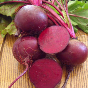 BEET Seeds, Detroit Dark Red