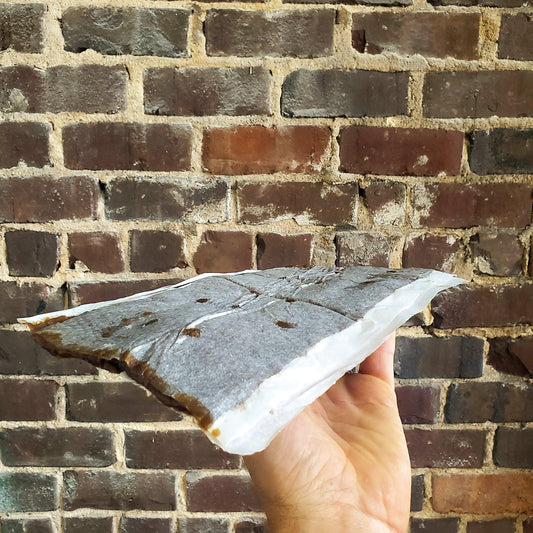 Bee Pro Protein Patties