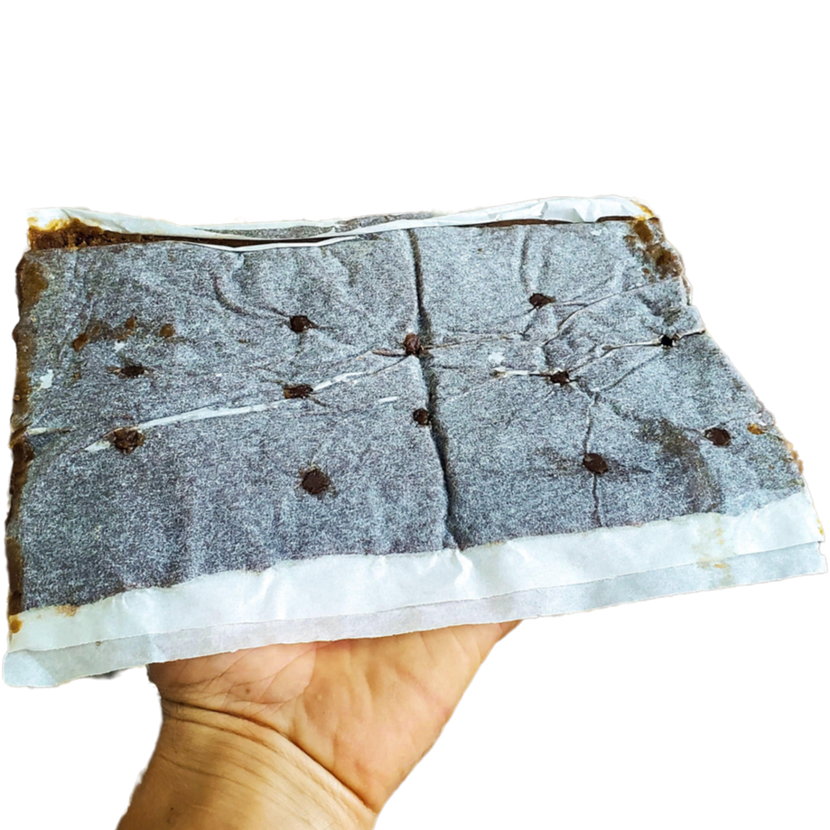 Bee Pro Protein Patties