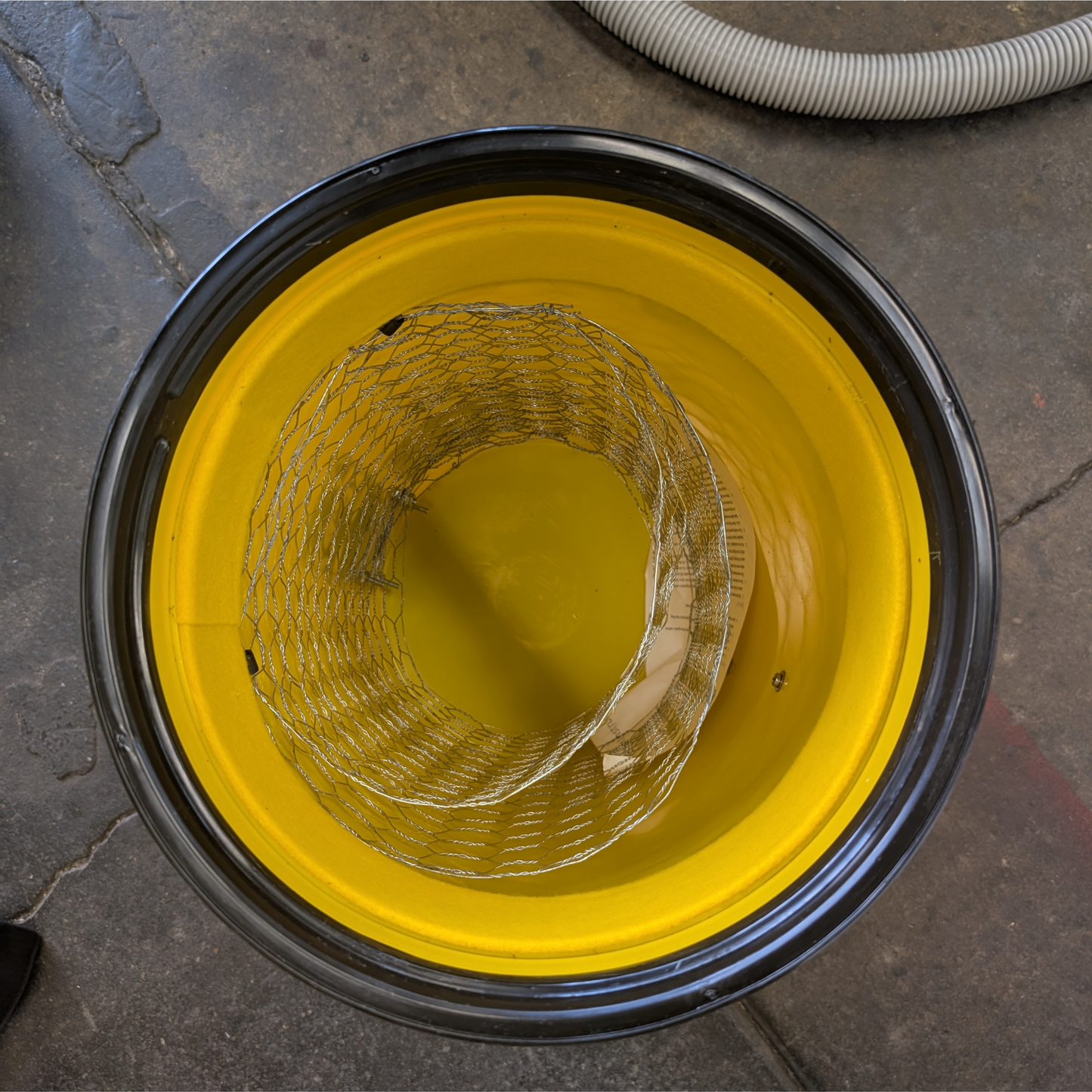 Everything Bee Vacuum Gen 2.5