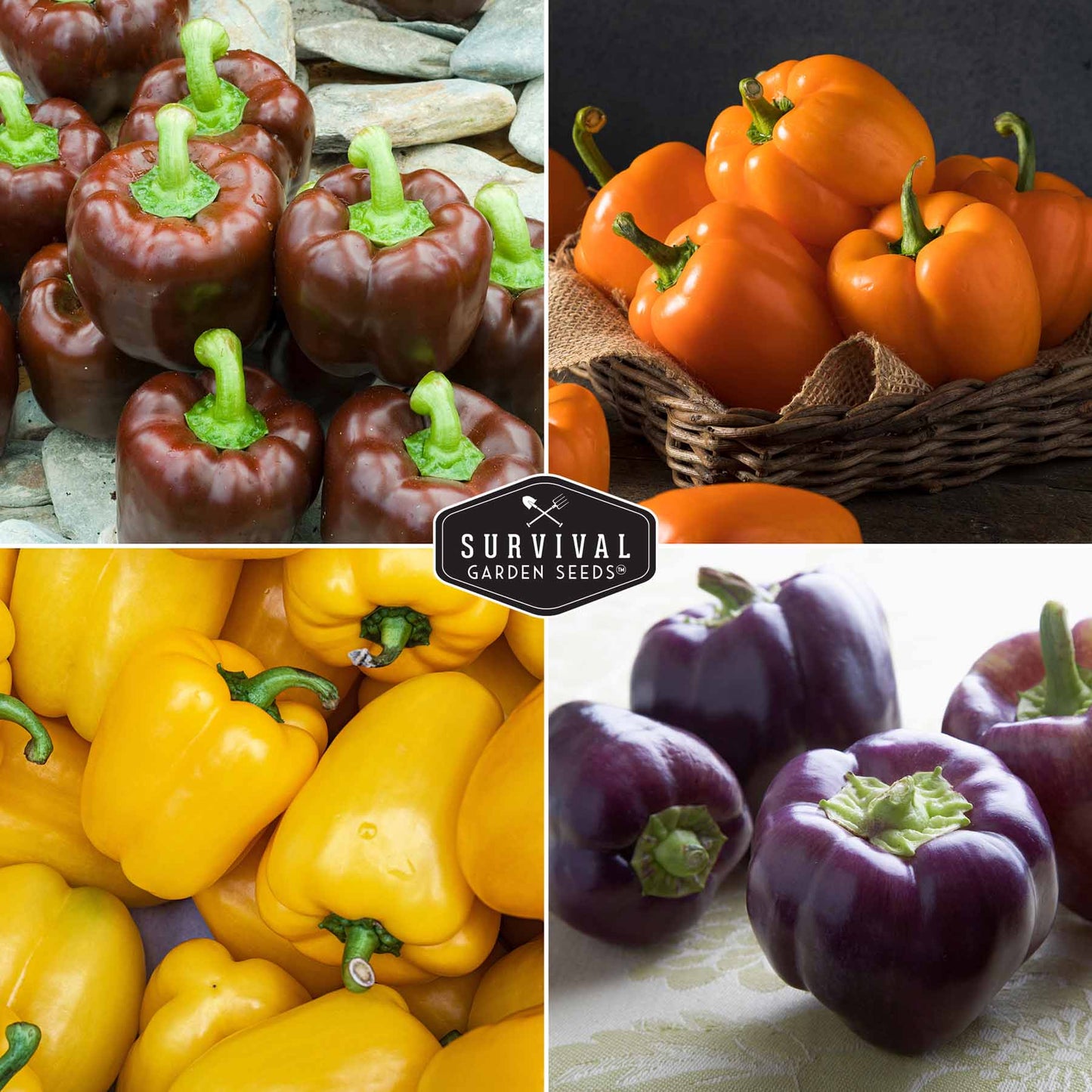 Bell Pepper Seed Collection - 5 Sweet Bell Peppers