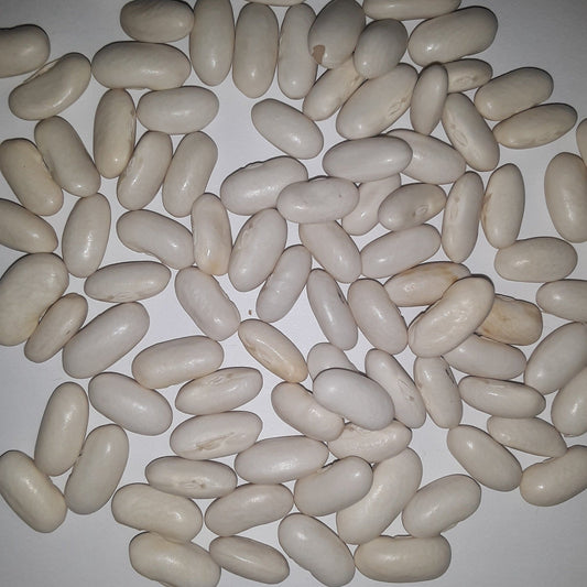 Heirloom Blue Lake Pole Bean Seeds