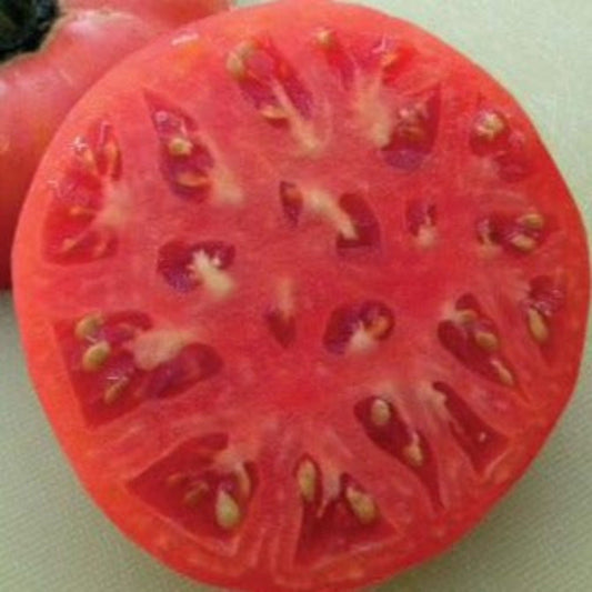 Brandywine Pink Heirloom Tomato Seeds