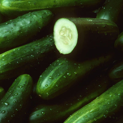 CUCUMBER Seeds, Marketmore