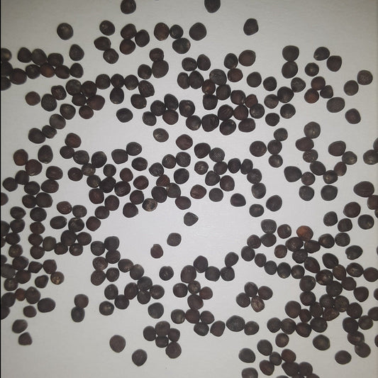 Snowball Self Blanching Cauliflower Seeds