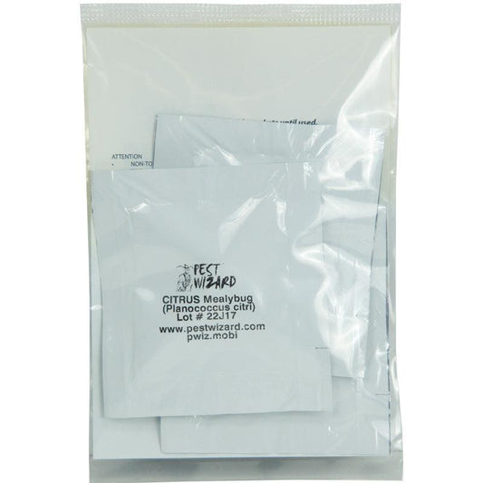 Pest Wizard Citrus Mealybug Lure 3-Pack