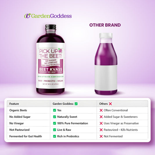 2-Pack Organic Probiotic Raw Beet Juice Kvass 32oz