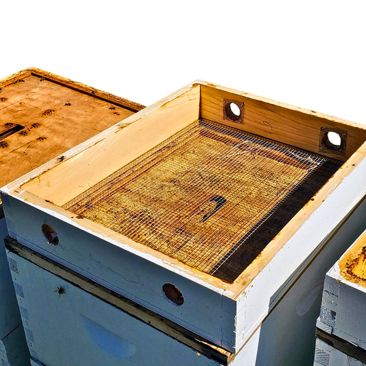 Cypress Spacer and Feeder Rim