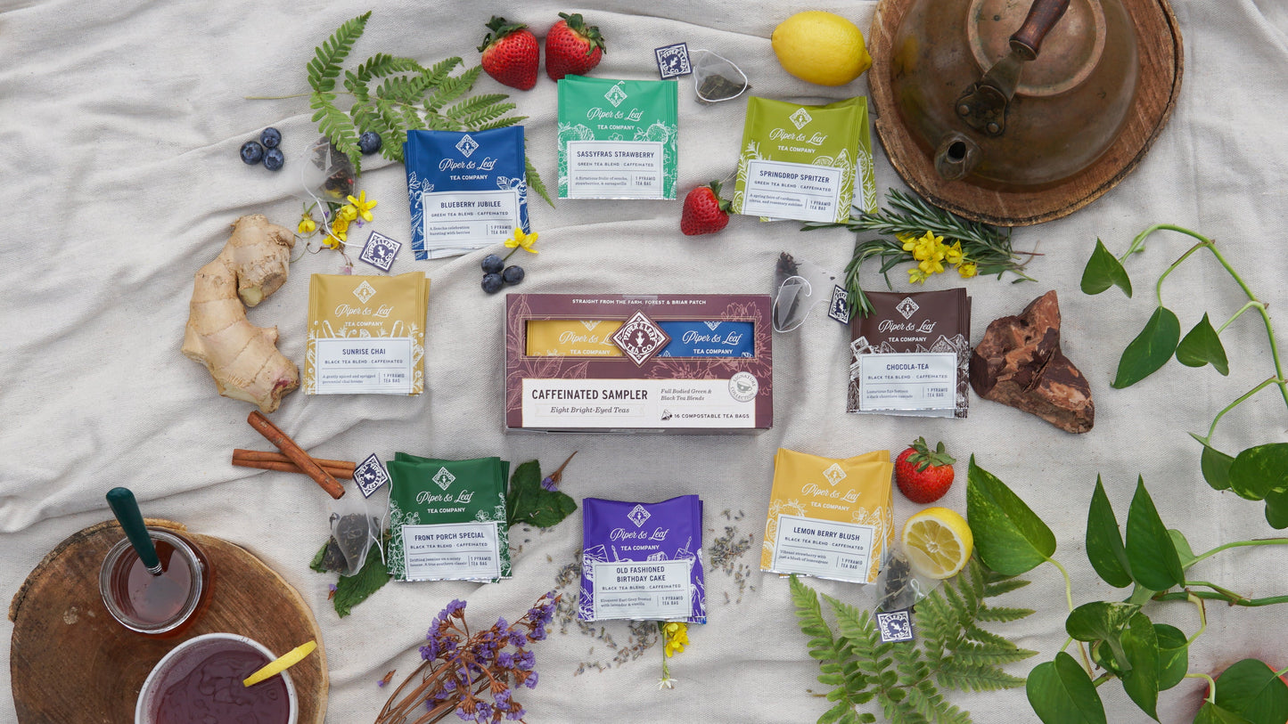 Caffeinated Sampler - Box of 16 Tea Bags