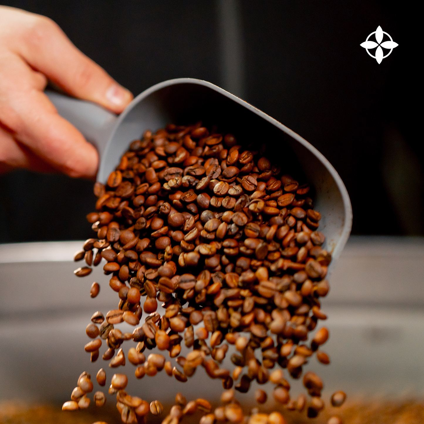Specialty Peruvian Organic Coffee, Opaqa Dama de Los Andes