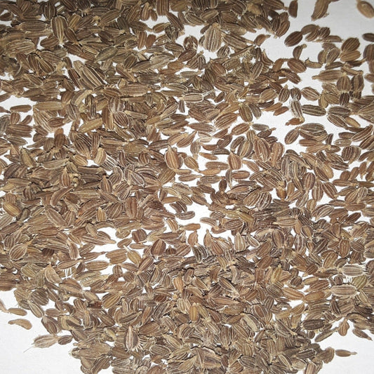 Danvers Heirloom Carrot Seeds