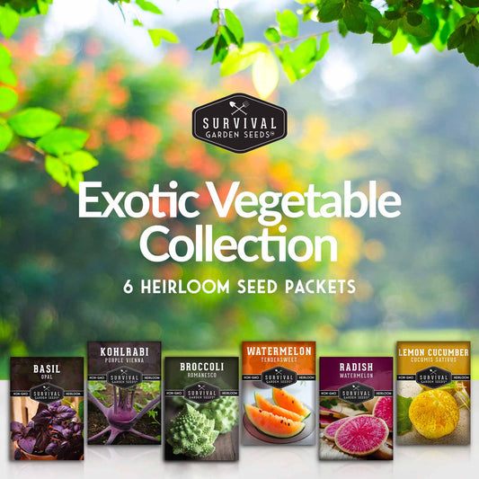 Rare Exotic Vegetable Seed Collection - Grow Something Unique in Your Garden