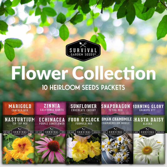 10 Flower Seed Collection - 10 Colorful & Useful Flower Varieties