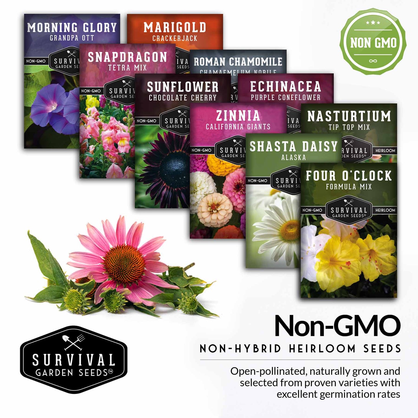 10 Flower Seed Collection - 10 Colorful & Useful Flower Varieties