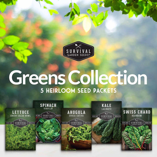 Greens Collection - Spinach, Arugula, Kale, Lettuce & Swiss Chard