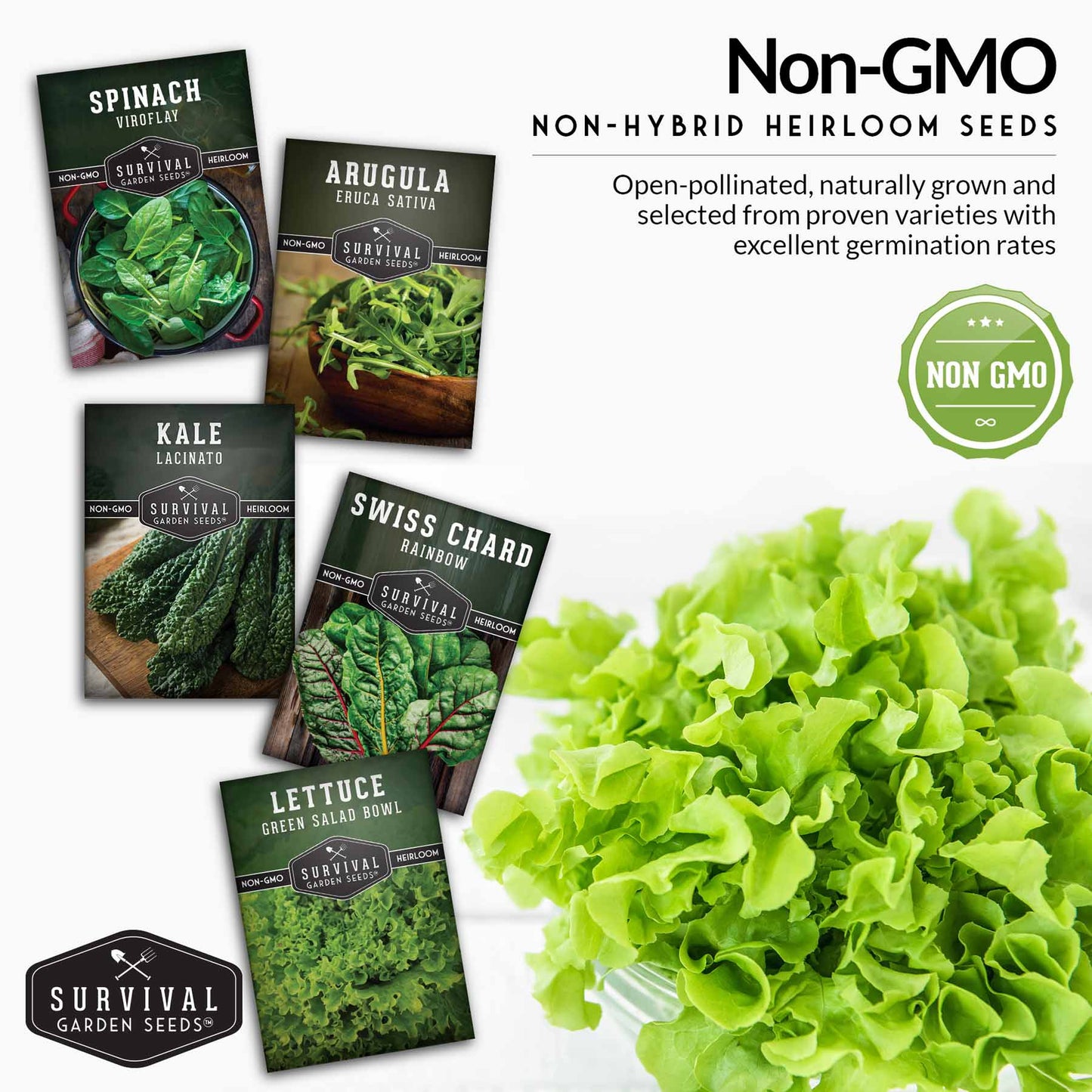 Greens Collection - Spinach, Arugula, Kale, Lettuce & Swiss Chard
