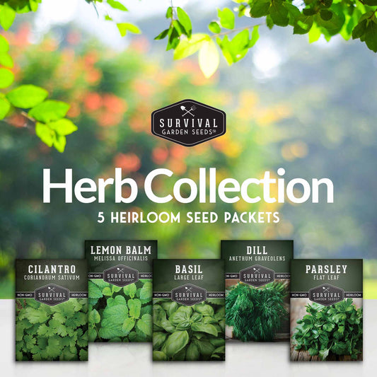 Herb Collection - Basil, Cilantro, Dill, Lemon Balm, Parsley