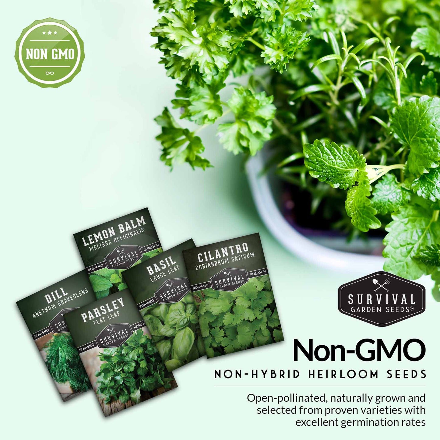 Herb Collection - Basil, Cilantro, Dill, Lemon Balm, Parsley