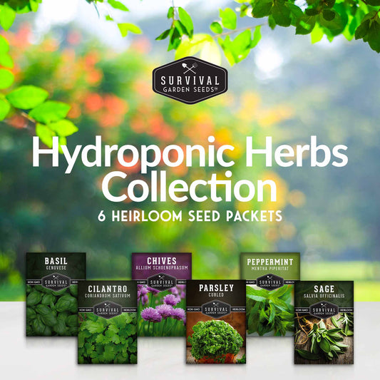 Hydroponic Herb Seed Collection