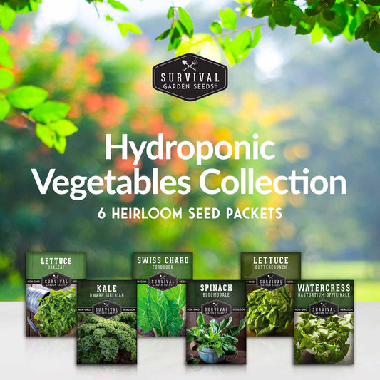 Hydroponic Vegetable Seed Collection