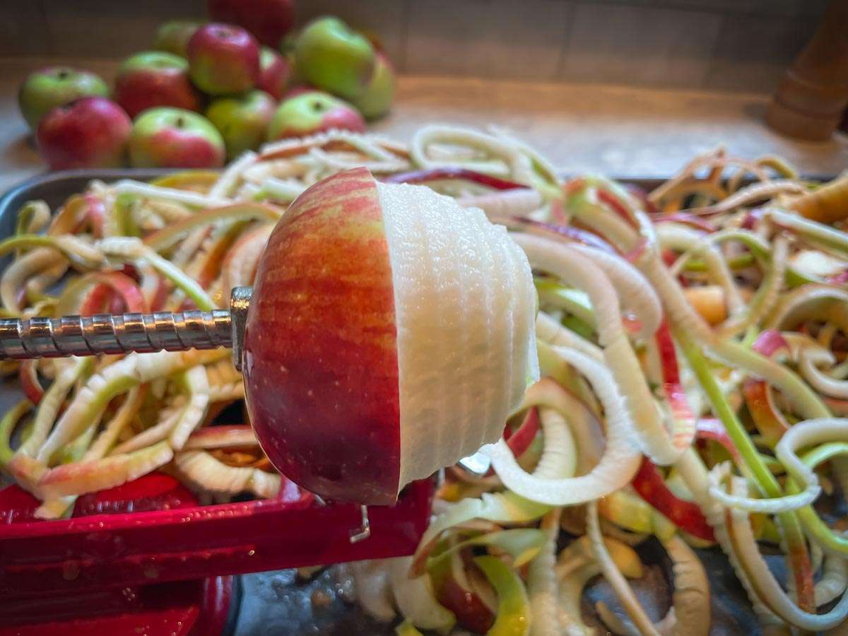Limited Release, Spiced Apple Cider