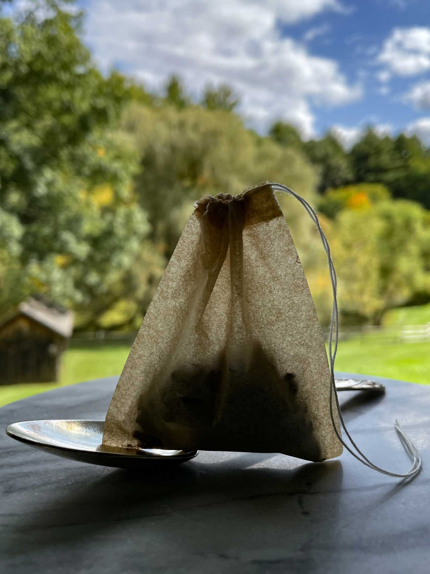 Cacao Tea