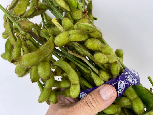 EDAMAME on branch (Young Soybeans) | Suzuki Farm | 1 bunch